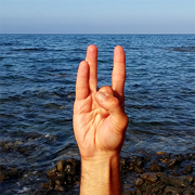 11